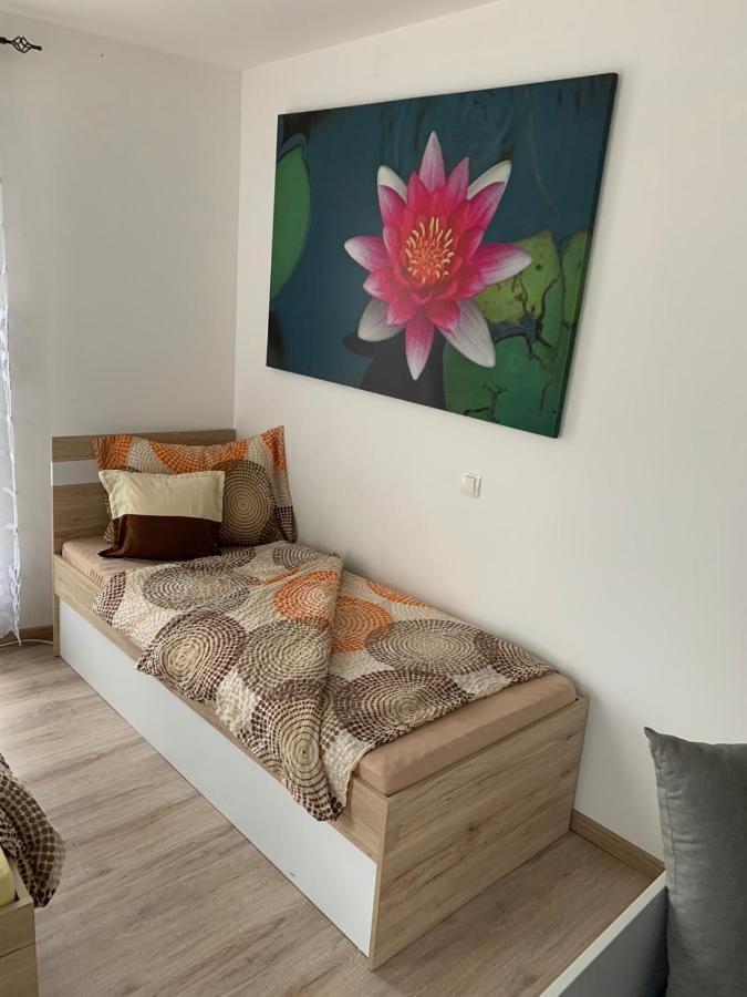 Edes Alom Guesthouse 塞格德 外观 照片